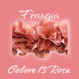 Frangia 2104 Colore 13 Rosa